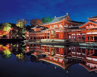 【京都観光】秋の特別拝観がスタート！改修を終えた平等院鳳凰堂へ