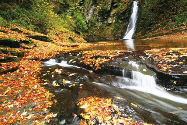 落葉がはじまると、紅葉した落ち葉で滝つぼも赤く染まる。写真は琵琶滝の様子/赤目四十八滝