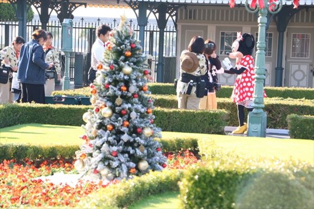 園内各所にクリスマスならではの装飾が施されている