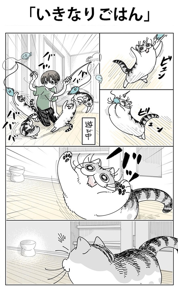 「いきなりごはん」01
