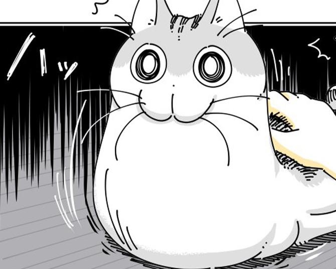 【ネコ漫画】誰もいないはずの場所を急に怖がる愛猫…!?意味深すぎる行動を見て思わず怯える飼い主