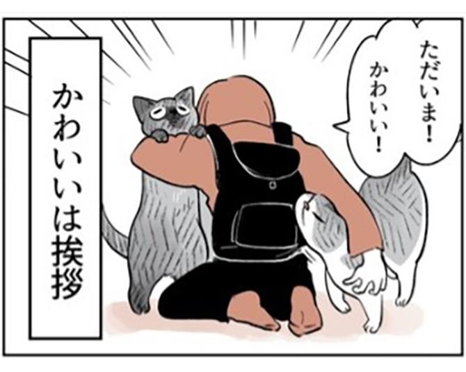 【ネコ漫画】愛猫に癒やされて仕事も頑張れる飼い主！日常をリアルに描く『こねこのドレイ』が話題【著者インタビュー】