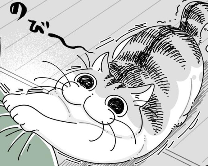 【ネコ漫画】飼い主の肩でストレッチする愛猫!?その仕草に「あるあるw」などSNSでコメント続々＆6.8万超えいいね