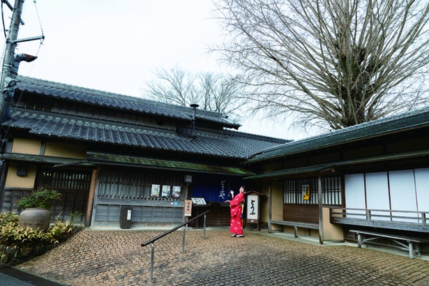 大きなイチョウの木が目印