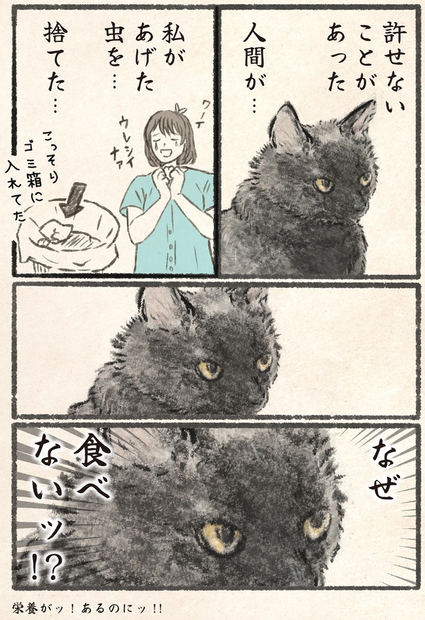 許せないことがあった （C）うぐいす 歌子／KADOKAWA