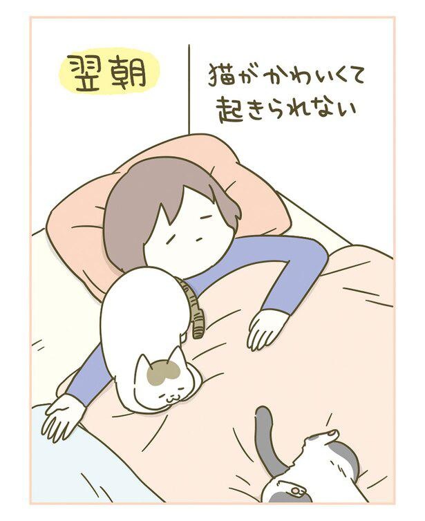 かわいさの罠 （C）卵山玉子／KADOKAWA