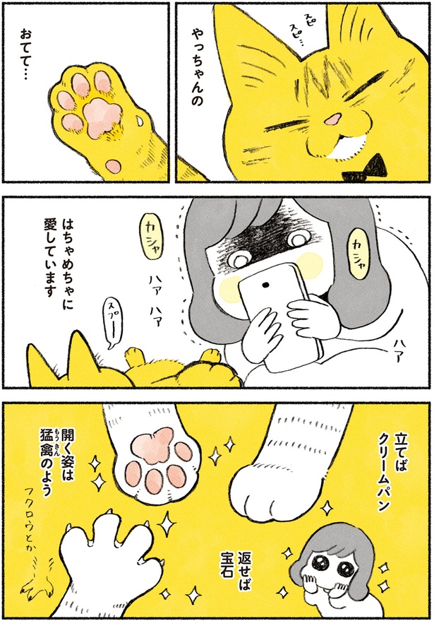 はちゃめちゃに愛しています （C）類／KADOKAWA