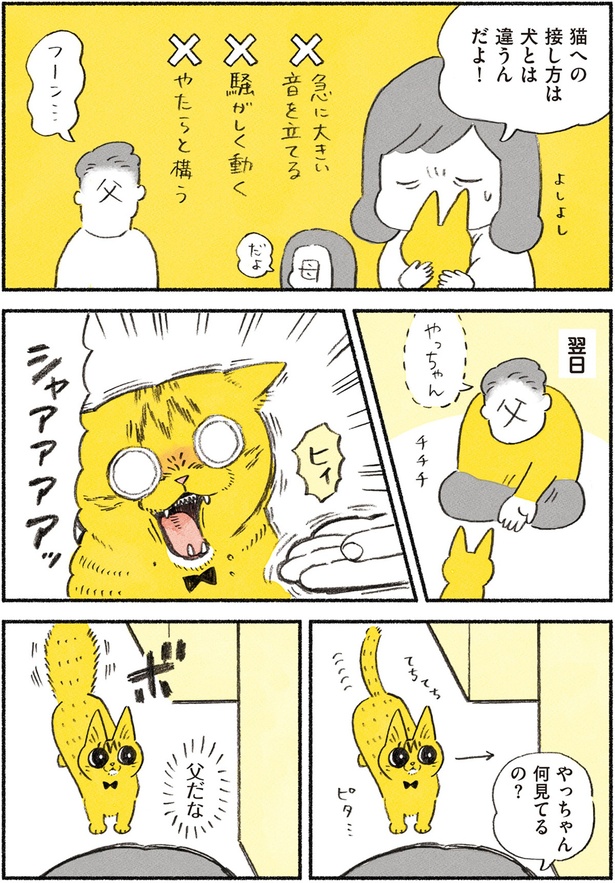 やっちゃん何見てるの？ （C）類／KADOKAWA
