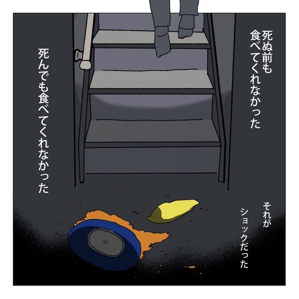 41