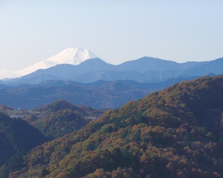 【今が旬！紅葉山歩き】飯能の町からすぐ登れる！埼玉・天覧山～多峯主山お手軽コース