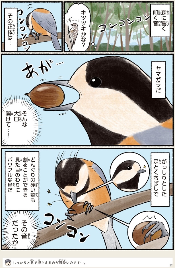 キツツキかな？ （C）piro piro piccolo／KADOKAWA