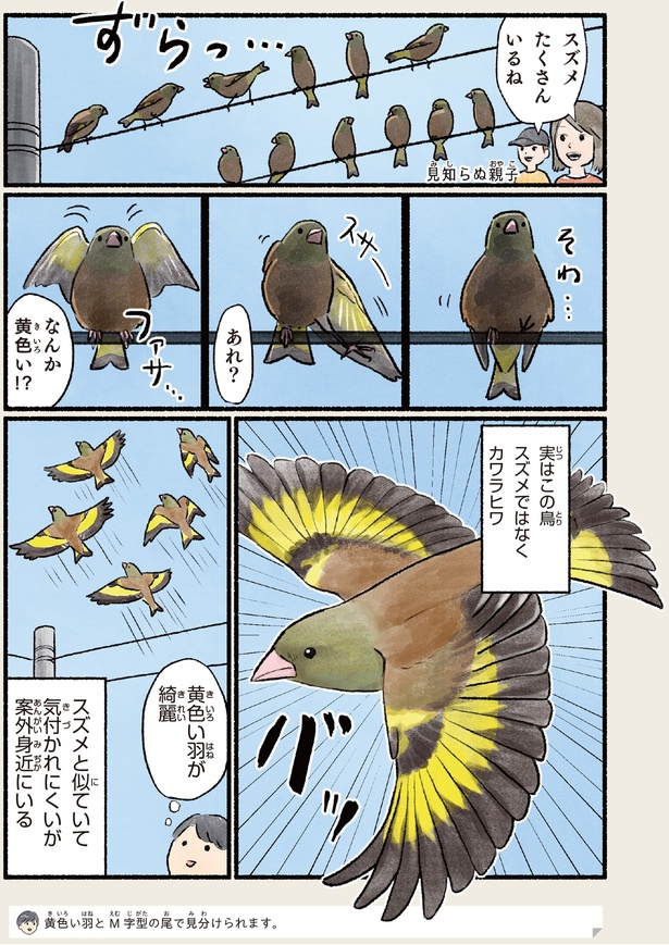 なんか黄色い！？ （C）piro piro piccolo／KADOKAWA