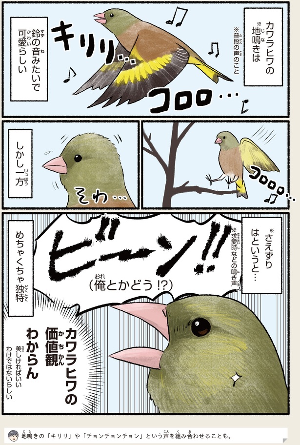 ビーン！！ （C）piro piro piccolo／KADOKAWA