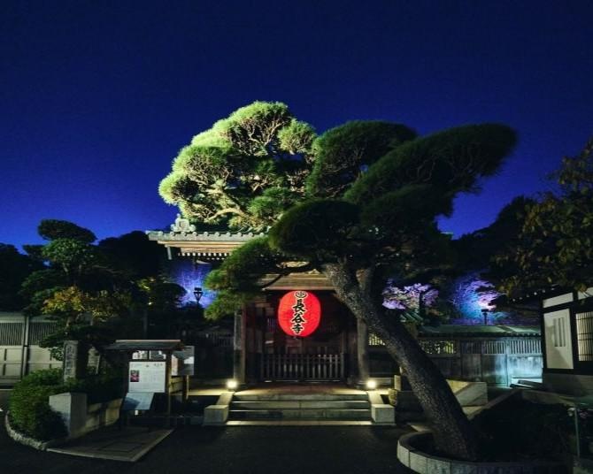 夜の鎌倉で楽しむアート・音楽・食の体験イベント「長谷寺NIGHT TABLE 2025」が開催
