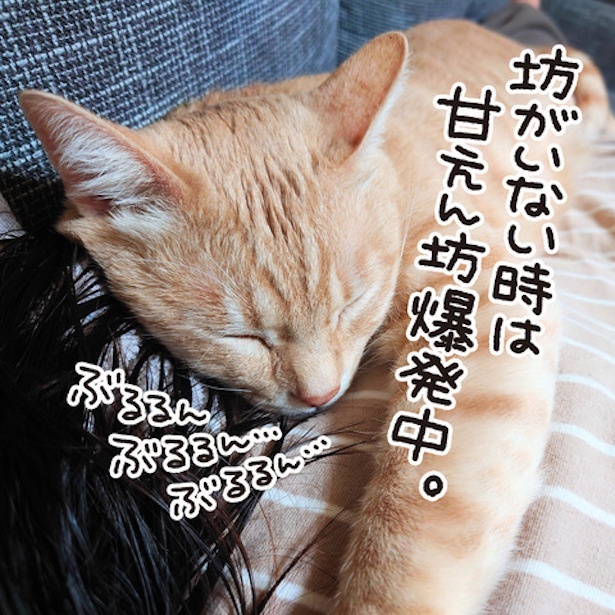 ただいま！(6)