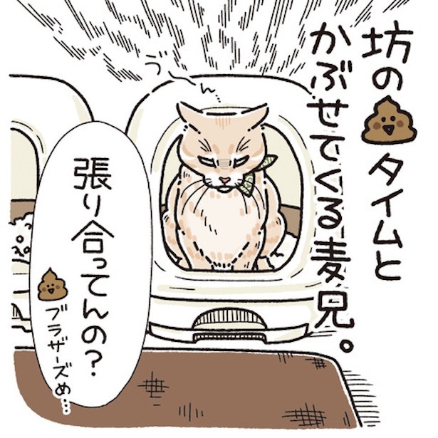 うんこブラザーズ(4)