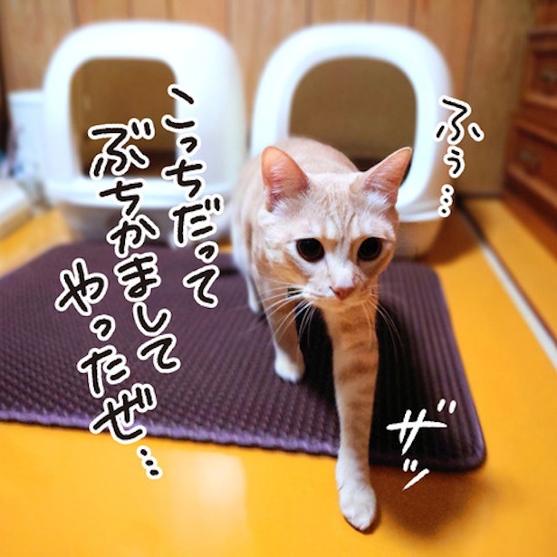 うんこブラザーズ(5)