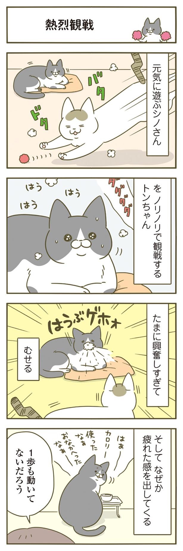 熱烈観戦 （C）卵山玉子／KADOKAWA
