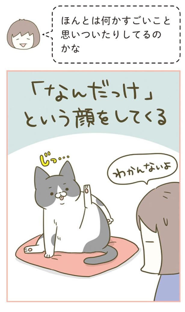 「なんだっけ」って顔してくる （C）卵山玉子／KADOKAWA
