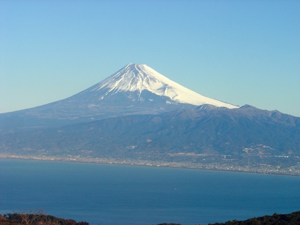 今が旬 紅葉山歩き 伊豆三絶 極みの美 ススキ越しに見る富士山は格別 静岡 達磨山おすすめコース ウォーカープラス