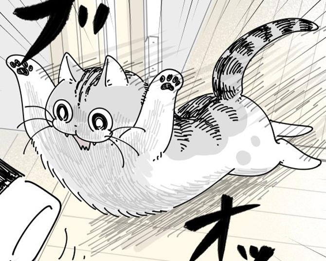 【ネコ漫画】飼い主を驚かそうとするお茶目な愛猫!?その姿に「飛び掛かり方がかわいい」などSNSでコメント多数
