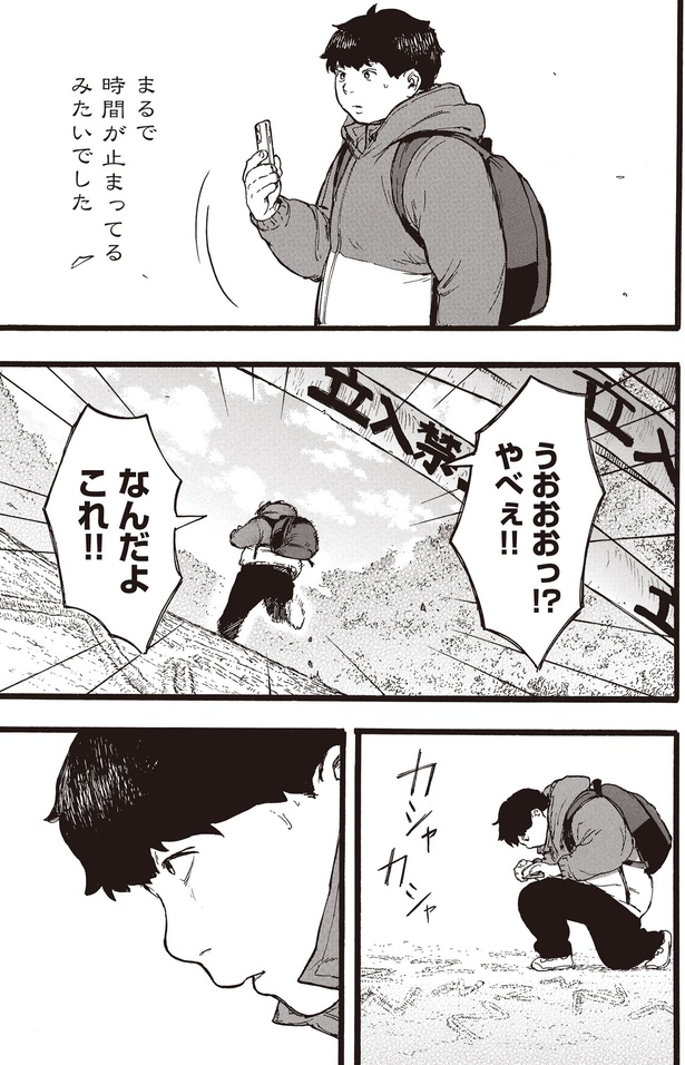 なんだよこれ！！ （C）にことがめ、くるむあくむ／KADOKAWA