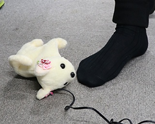 くさいと気絶する犬型ロボ「はなちゃん」、編集部員の足のにおいに悶絶!?