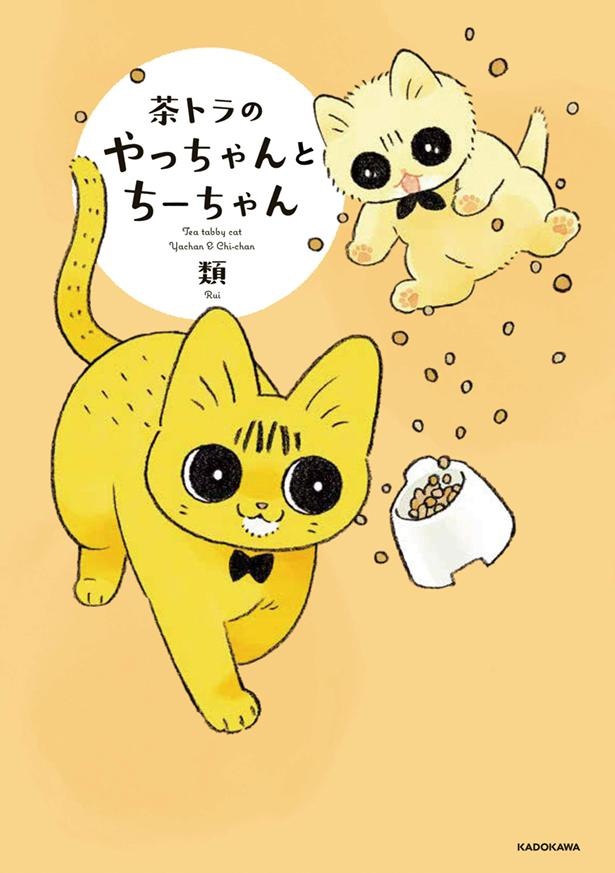 『茶トラのやっちゃんとちーちゃん』