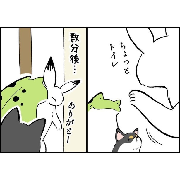 リアクションが反対すぎる柴犬兄弟_8