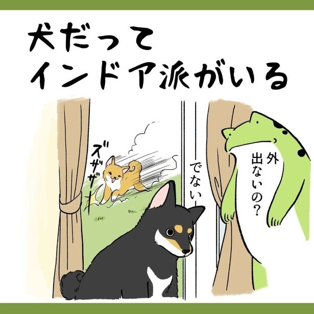 柴犬姉弟が家族になって初めて知ったこと3