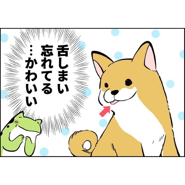 犬が家族になってから1_004