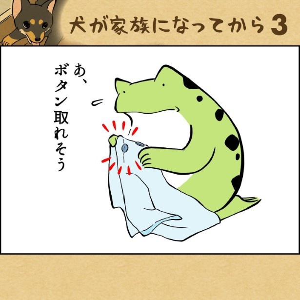 犬が家族になってから3-001