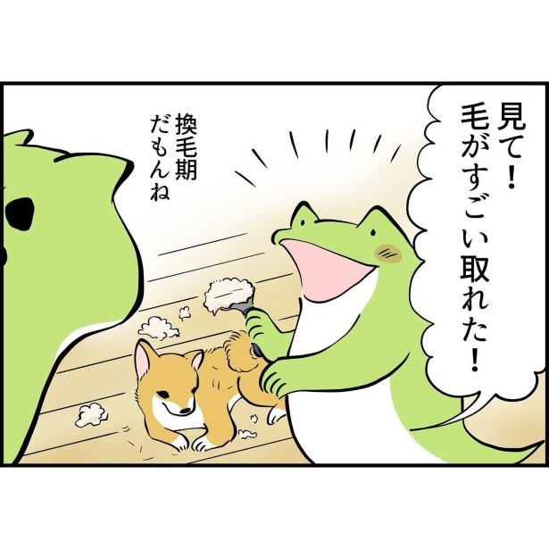 犬が家族になってから4_P005