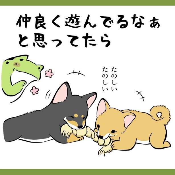 犬との暮らしで子育てとちょっと似てるなぁと思うこと_22-1