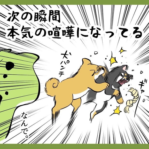 犬との暮らしで子育てとちょっと似てるなぁと思うこと_22-2