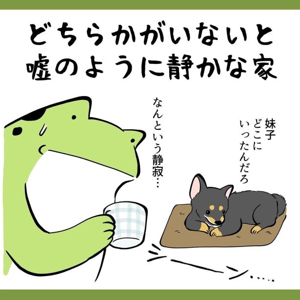 犬との暮らしで子育てとちょっと似てるなぁと思うこと_23