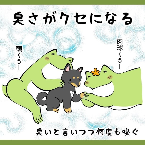 犬との暮らしで子育てとちょっと似てるなぁと思うこと_20