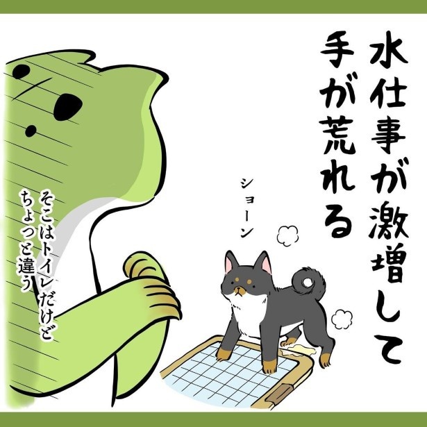 犬との暮らしで子育てとちょっと似てるなぁと思うこと_12