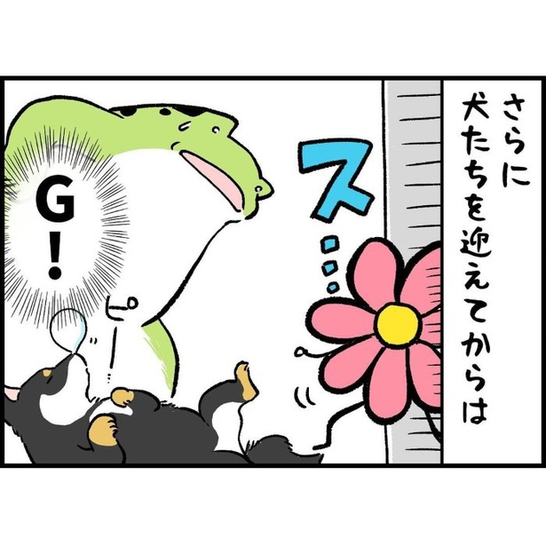 結婚し、母になり、犬を飼い、そして強くなった。6