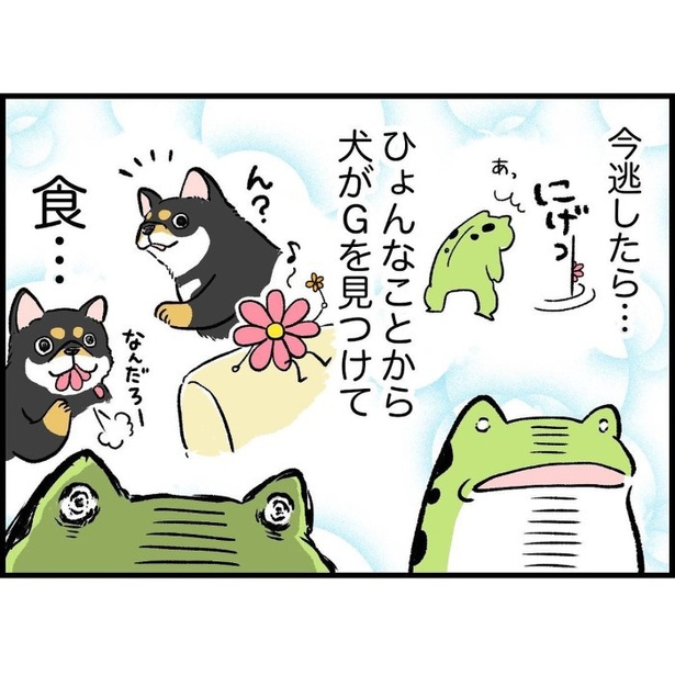 結婚し、母になり、犬を飼い、そして強くなった。7