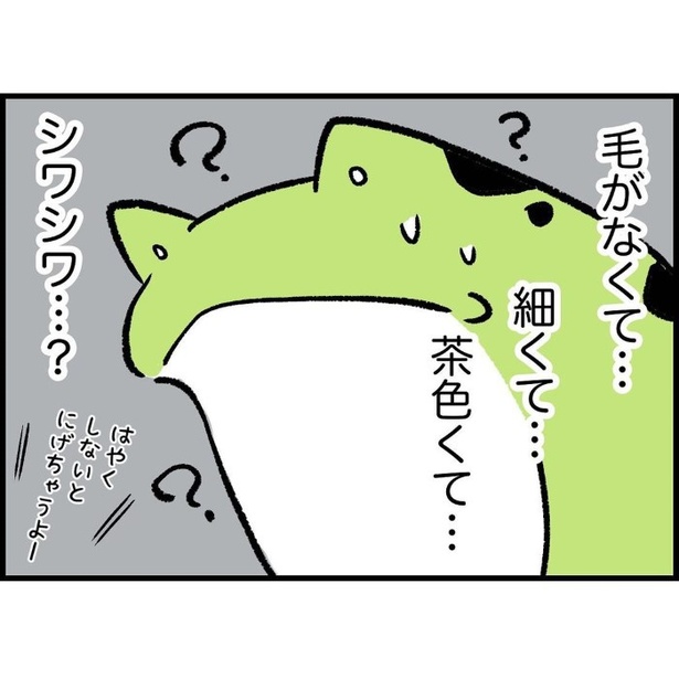 シワシワで毛のない生き物に出会った話_P004