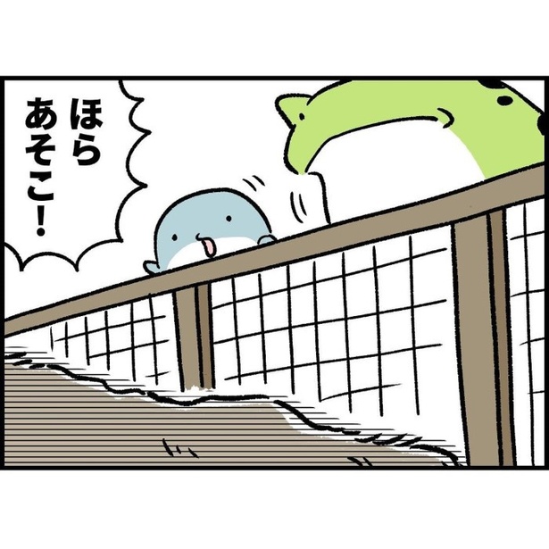 シワシワで毛のない生き物に出会った話_P005