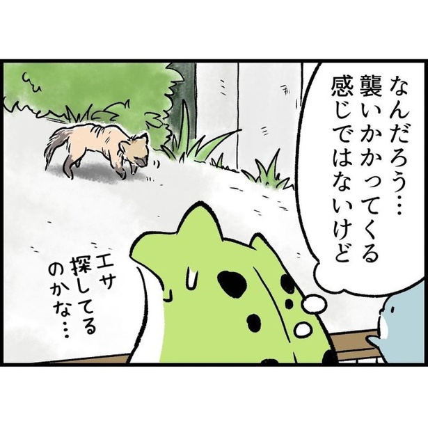シワシワで毛のない生き物に出会った話_P009