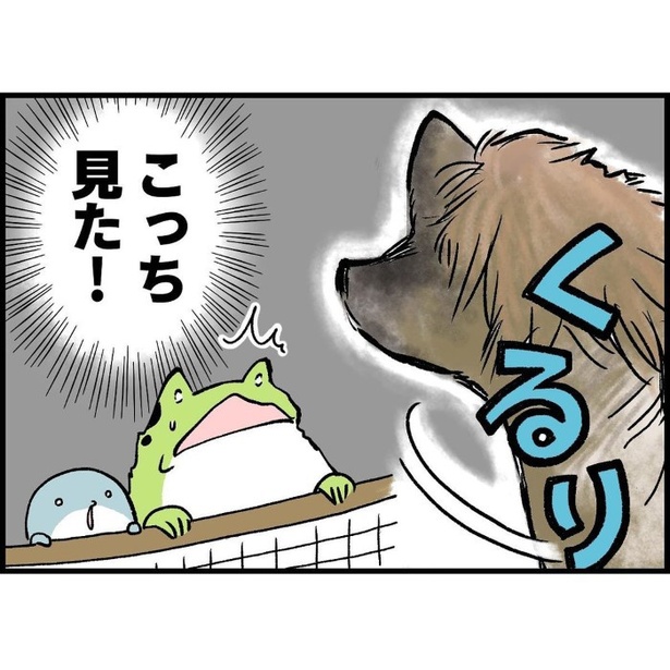 シワシワで毛のない生き物に出会った話_P011