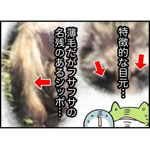 シワシワで毛のない生き物に出会った話_P013