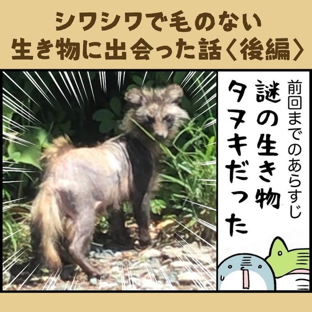 シワシワで毛のない生き物に出会った話_P017