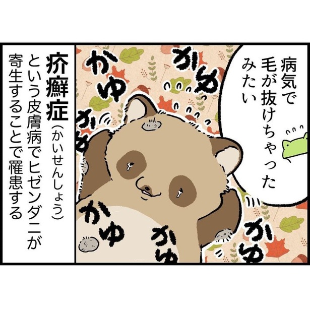 シワシワで毛のない生き物に出会った話_P019