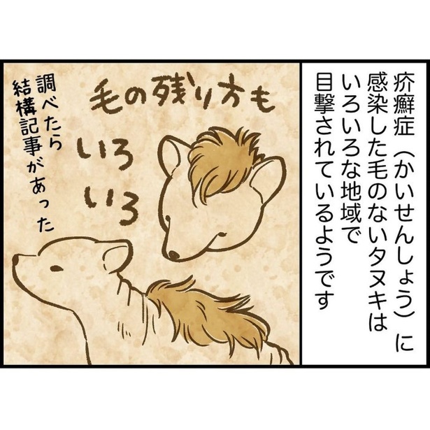 シワシワで毛のない生き物に出会った話_P022