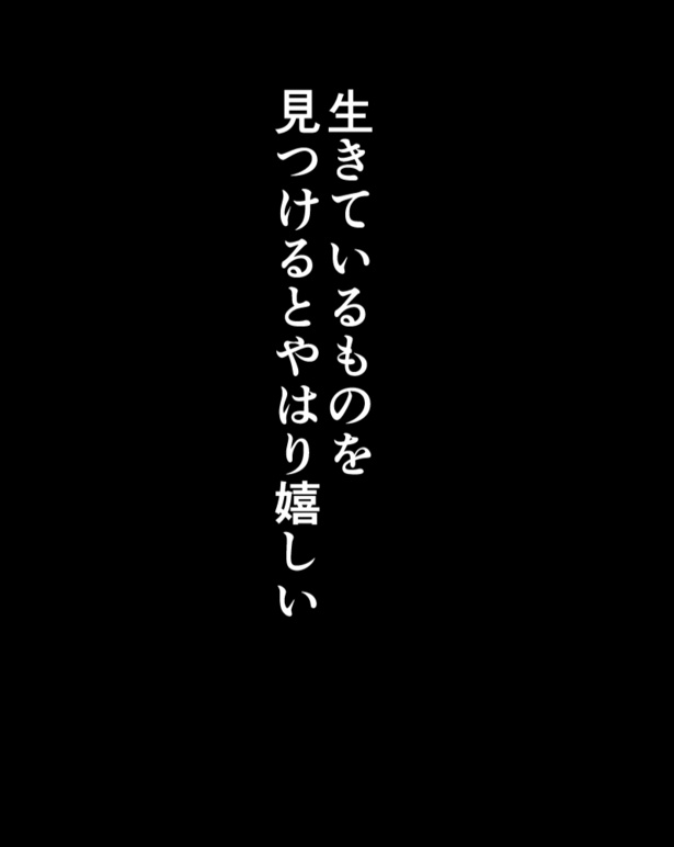『アーカイブ＊ホラー』_09