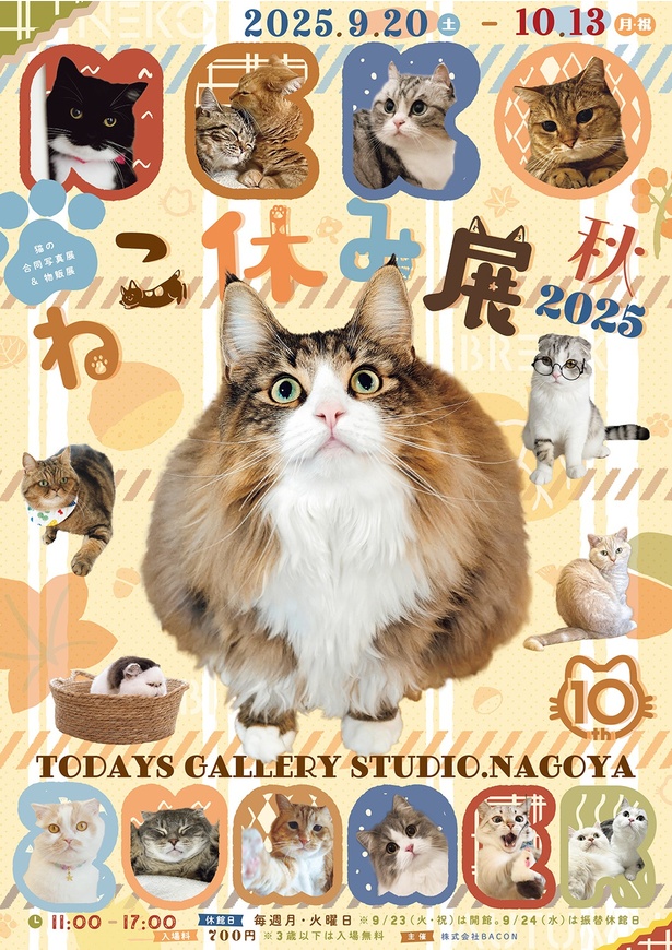 「ねこ休み」しよう